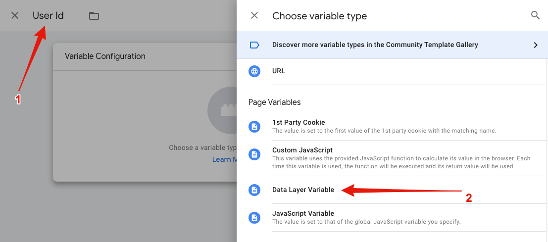 Select Data Layer Variable